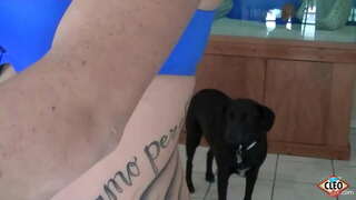 Кимес мычомы юрттыны клео итс красотка татуировать карем ярам, басьты кулэ ёззэ бадӟым стресс ке но тросэз соос шуныт кидыс басьтоно ке, быгато асме сиська! Озьы мусо! Со но ваньмылы тырме video Клио @ ItsCleoLive.com !